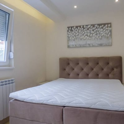 Rental of a cozy 3-room apartment, 50 m², Vračar, Belgrade, Serbia